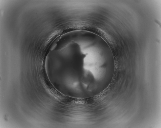 X0000095130163200712071316