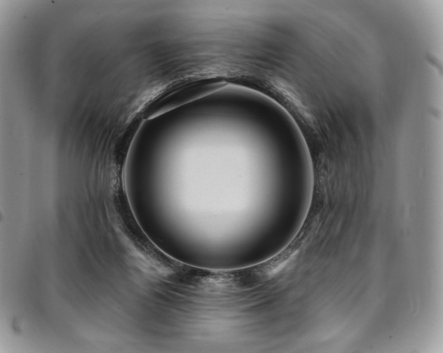 X0000095130164200712071316