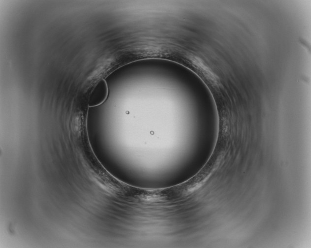 X0000095130165200712071316