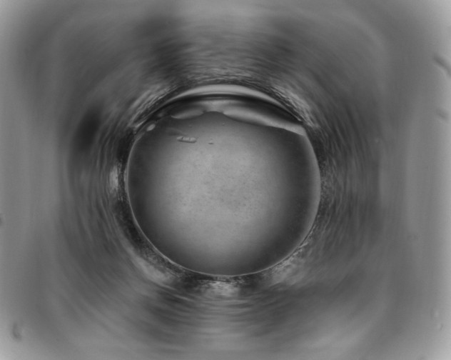 X0000095130166200712071316