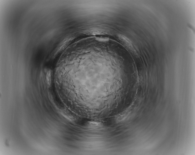 X0000095130167200712071316