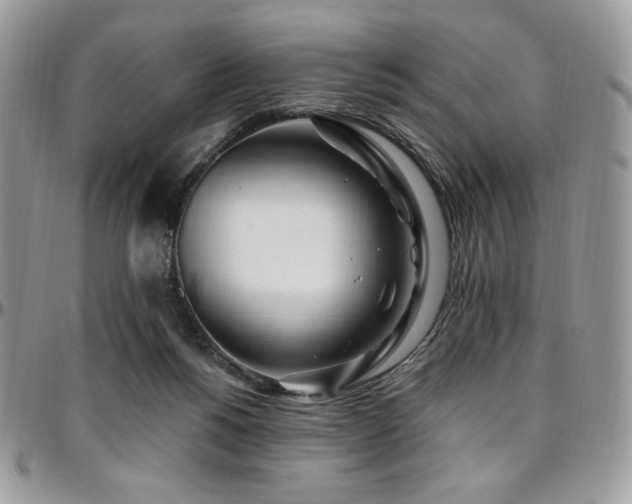 X0000095130168200712071316