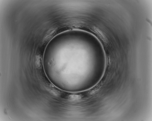 X0000095130169200712071316