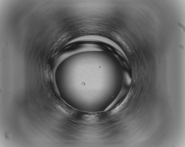 X0000095130170200712071316