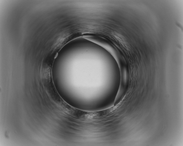 X0000095130172200712071316