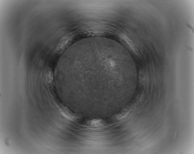 X0000095130173200712071316