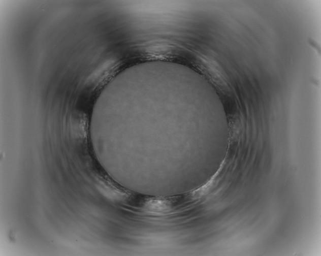 X0000095130174200712071316