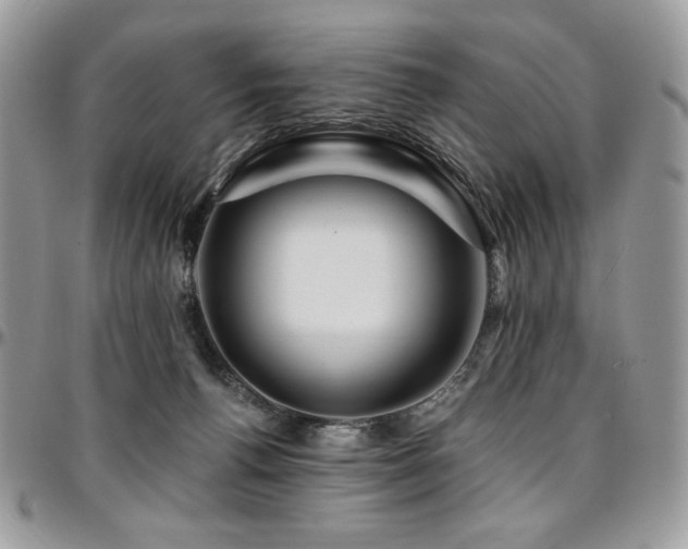 X0000095130176200712071316