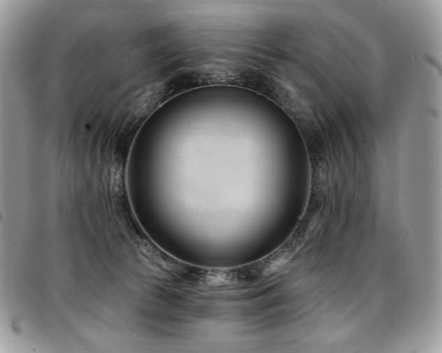 X0000095130177200712071316