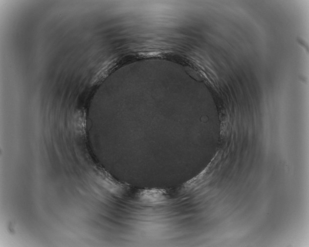 X0000095130179200712071316