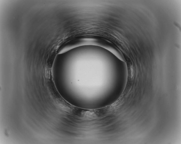 X0000095130180200712071316