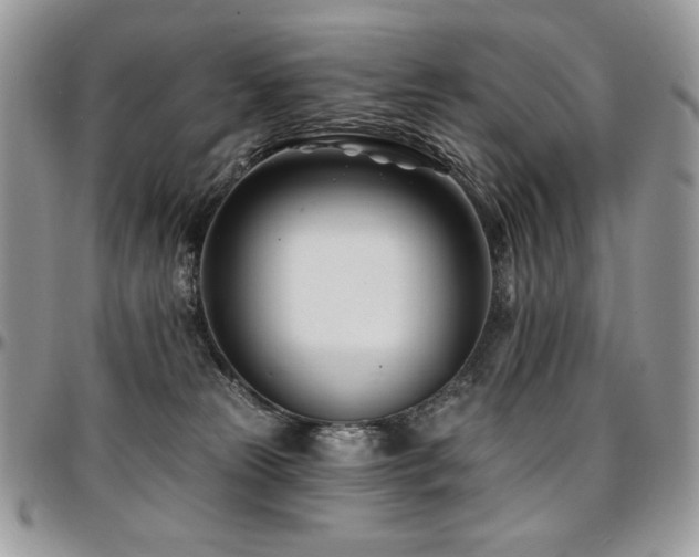 X0000095130181200712071316