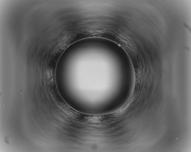 X0000095130182200712071316