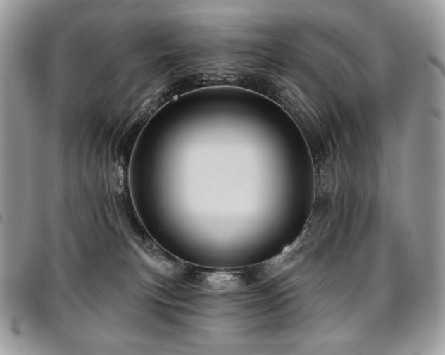 X0000095130183200712071316