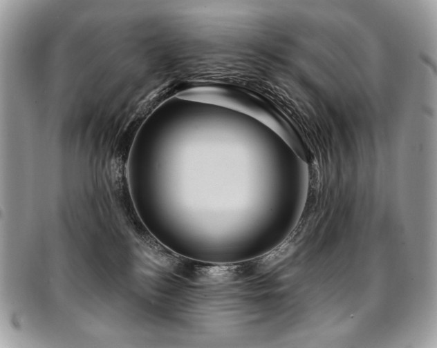 X0000095130184200712071316