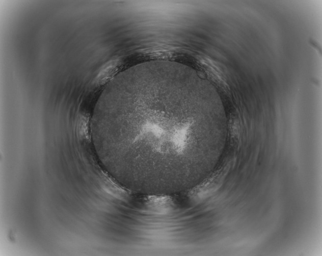 X0000095130185200712071316