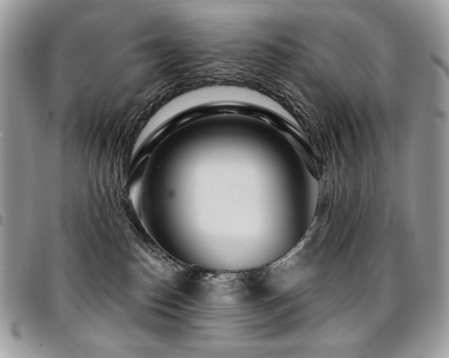 X0000095130186200712071316