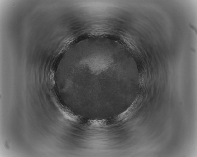 X0000095130187200712071316