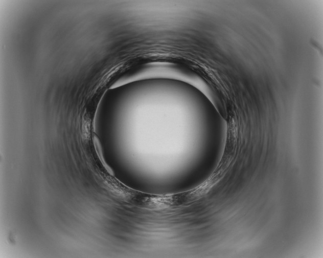 X0000095130188200712071316