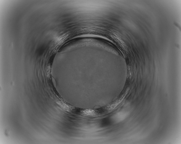 X0000095130189200712071316