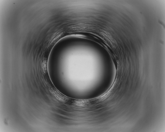 X0000095130190200712071316