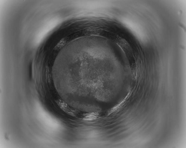 X0000095130191200712071316