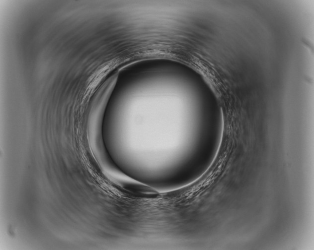 X0000095130193200712071316