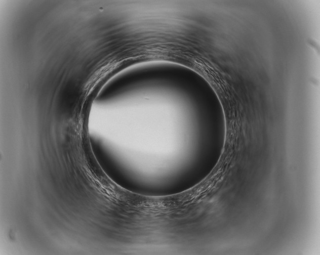 X0000095130194200712071316