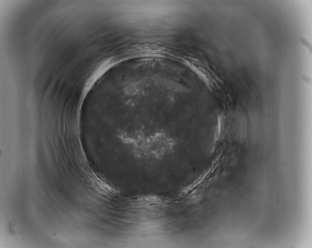 X0000095130195200712071316