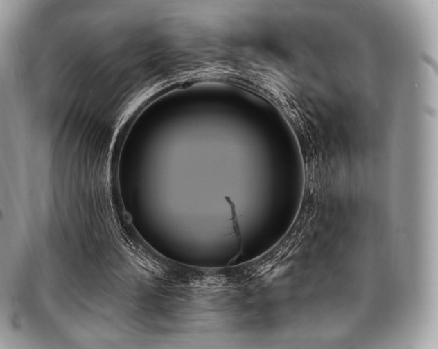 X0000095130196200712071316