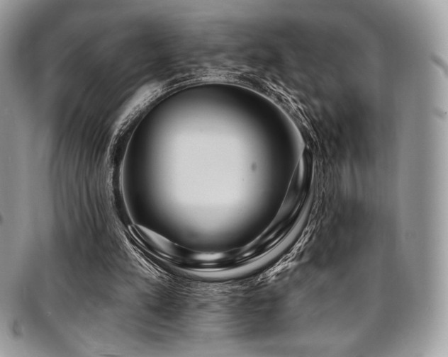 X0000095130197200712071316