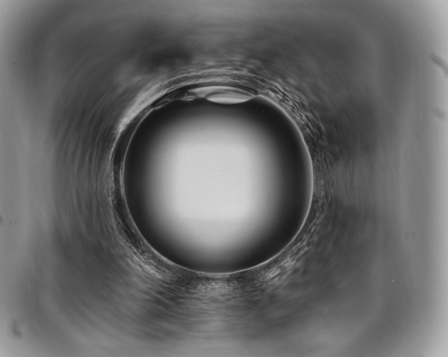 X0000095130198200712071316