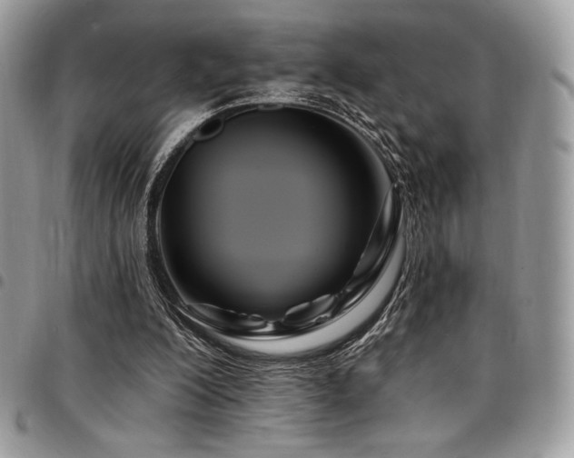 X0000095130200200712071316