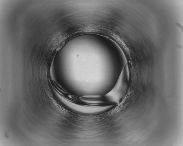 X0000095130201200712071316