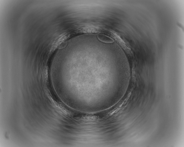 X0000095130202200712071316