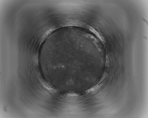 X0000095130203200712071315