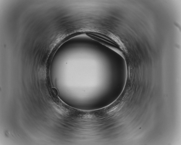 X0000095130204200712071315