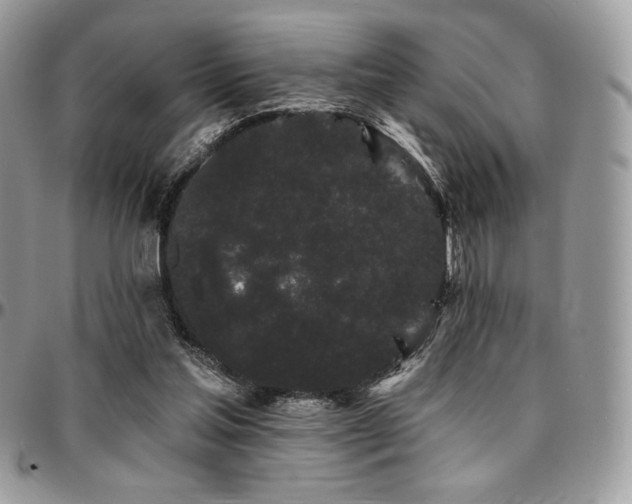 X0000095130205200712071315