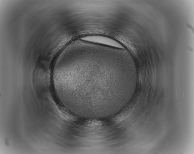 X0000095130206200712071315