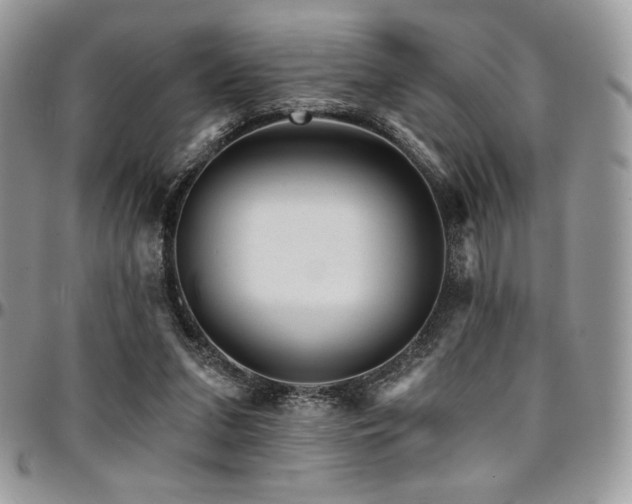 X0000095130207200712071315