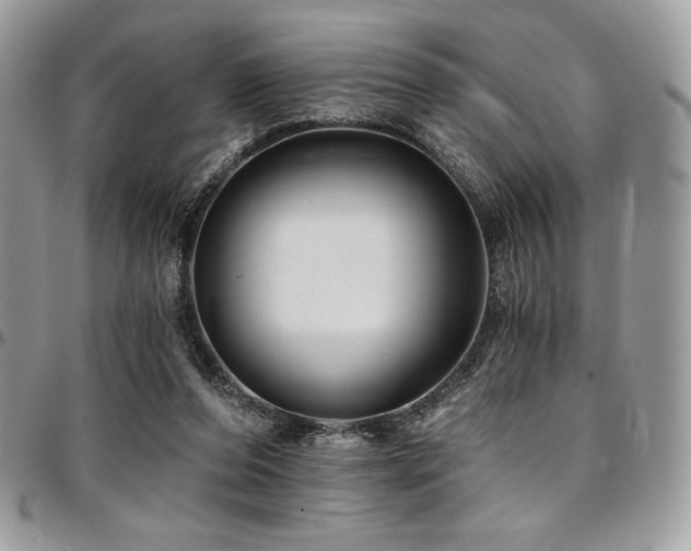 X0000095130208200712071315