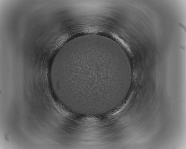 X0000095130209200712071315