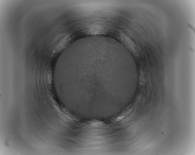 X0000095130210200712071315