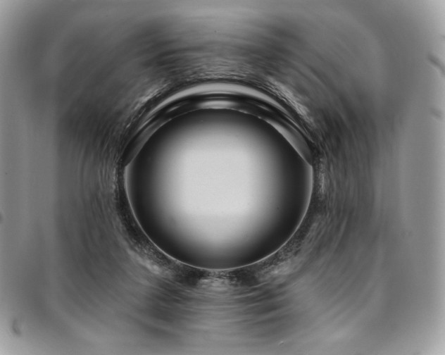 X0000095130211200712071315