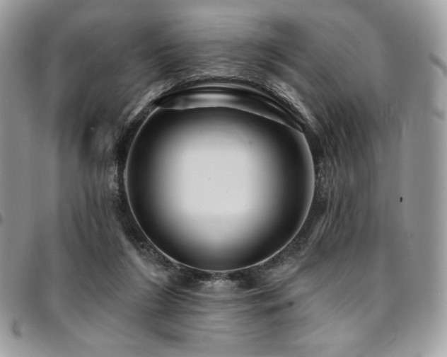 X0000095130212200712071315