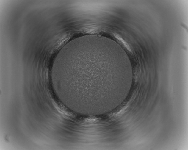 X0000095130213200712071315