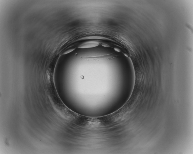 X0000095130214200712071315