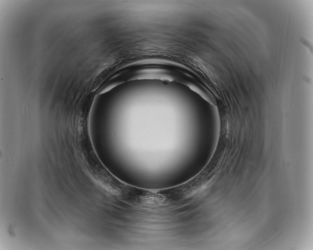 X0000095130215200712071315