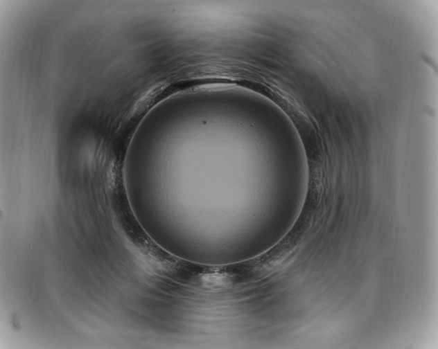 X0000095130216200712071315