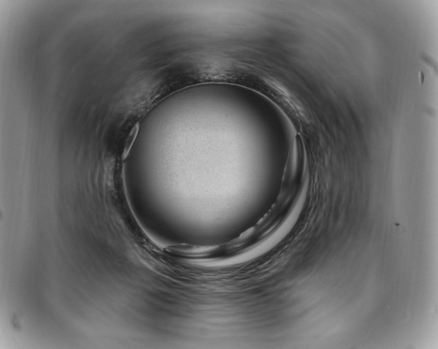 X0000095130217200712071315